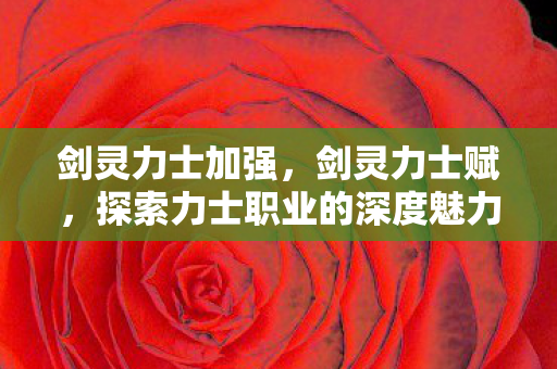 剑灵力士加强,剑灵力士赋,探索力士职业的深度魅力 剑灵力士加强,剑灵力士赋,探索力士职业的深度魅力