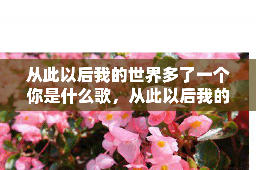 从此以后我的世界多了一个你是什么歌,从此以后我的世界多了一个你 从此以后我的世界多了一个你是什么歌,从此以后我的世界多了一个你