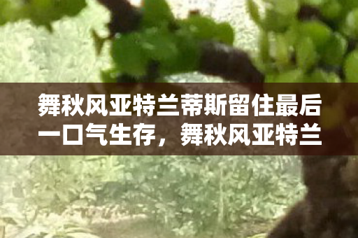 舞秋风亚特兰蒂斯留住最后一口气生存图片