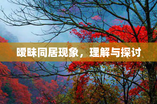 暧昧同居现象,理解与探讨 暧昧同居现象,理解与探讨