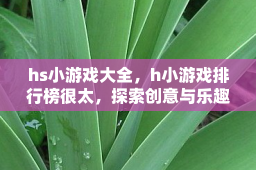 探索创意与乐趣的无限可能图片