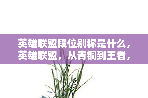 英雄联盟段位别称是什么,英雄联盟,从青铜到王者,段位晋升之路的奥秘 英雄联盟段位别称是什么,英雄联盟,从青铜到王者,段位晋升之路的奥秘