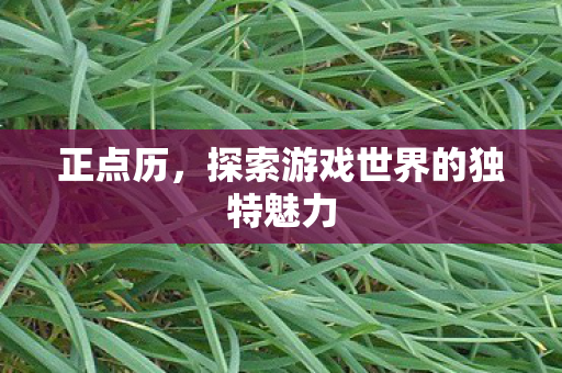 正点历,探索游戏世界的独特魅力 正点历,探索游戏世界的独特魅力