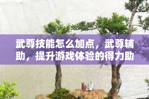 武尊技能怎么加点,武尊辅助,提升游戏体验的得力助手 武尊技能怎么加点,武尊辅助,提升游戏体验的得力助手