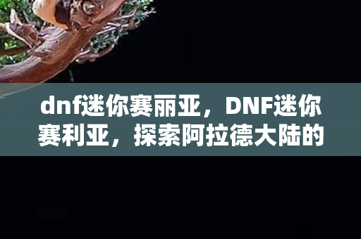 dnf迷你赛丽亚,DNF迷你赛利亚,探索阿拉德大陆的奇妙之旅 dnf迷你赛丽亚,DNF迷你赛利亚,探索阿拉德大陆的奇妙之旅