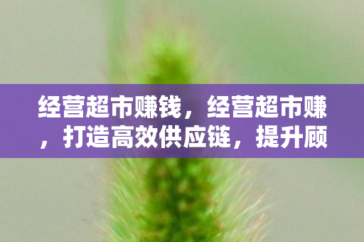 经营超市赚钱,经营超市赚,打造高效供应链,提升顾客满意度 经营超市赚钱,经营超市赚,打造高效供应链,提升顾客满意度