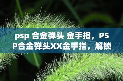 psp 合金弹头 金手指，PSP合金弹头XX金手指，解锁无限可能的通关秘籍