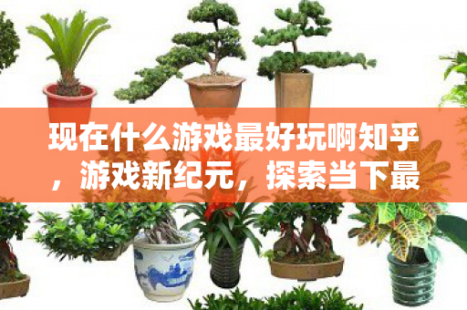 现在什么游戏最好玩啊知乎，游戏新纪元，探索当下最引人入胜的虚拟世界