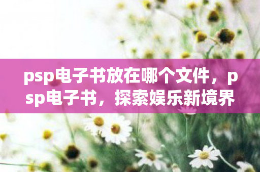 psp电子书放在哪个文件,psp电子书,探索娱乐新境界,尽享阅读新体验 psp电子书放在哪个文件,psp电子书,探索娱乐新境界,尽享阅读新体验