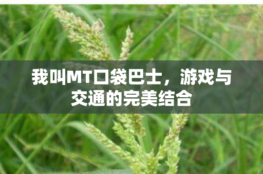 我叫MT口袋巴士,游戏与交通的完美结合 我叫MT口袋巴士,游戏与交通的完美结合