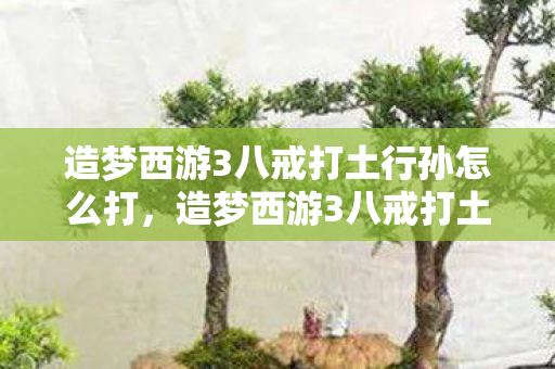 造梦西游3八戒打土行孙怎么打,造梦西游3八戒打土行孙,策略与技巧的深度剖析 造梦西游3八戒打土行孙怎么打,造梦西游3八戒打土行孙,策略与技巧的深度剖析