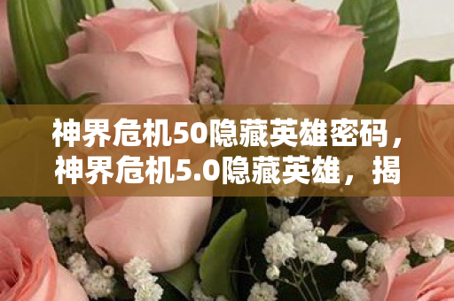 神界危机50隐藏英雄密码,神界危机5.0隐藏英雄,揭秘未知的英雄之旅 神界危机50隐藏英雄密码,神界危机5.0隐藏英雄,揭秘未知的英雄之旅