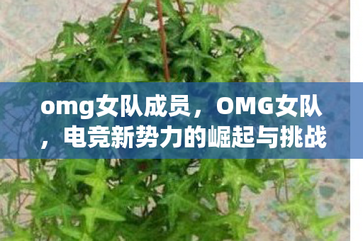 omg女队成员,OMG女队,电竞新势力的崛起与挑战 omg女队成员,OMG女队,电竞新势力的崛起与挑战