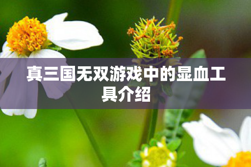 真三国无双游戏中的显血工具介绍 真三国无双游戏中的显血工具介绍