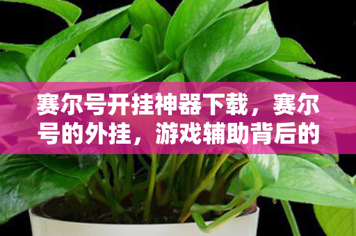 赛尔号开挂神器下载,赛尔号的外挂,游戏辅助背后的灰色阴影 赛尔号开挂神器下载,赛尔号的外挂,游戏辅助背后的灰色阴影