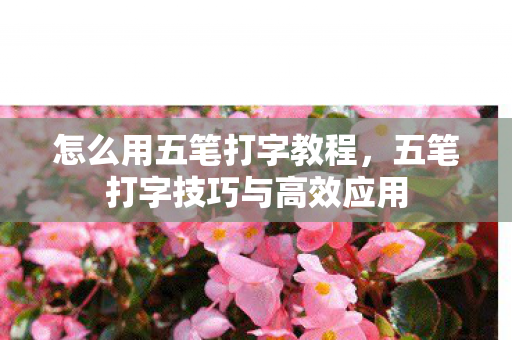 怎么用五笔打字教程,五笔打字技巧与高效应用 怎么用五笔打字教程,五笔打字技巧与高效应用
