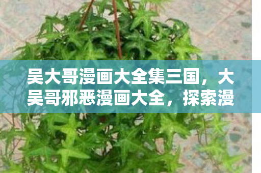 吴大哥漫画大全集三国,大吴哥邪恶漫画大全,探索漫画世界的另类魅力 吴大哥漫画大全集三国,大吴哥邪恶漫画大全,探索漫画世界的另类魅力
