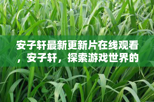安子轩最新更新片在线观看,安子轩,探索游戏世界的无限可能 安子轩最新更新片在线观看,安子轩,探索游戏世界的无限可能