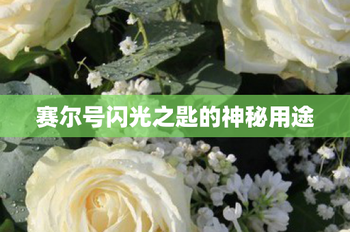 赛尔号闪光之匙的神秘用途 赛尔号闪光之匙的神秘用途
