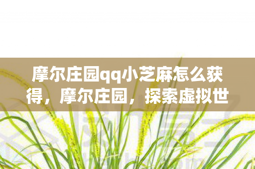 摩尔庄园qq小芝麻怎么获得,摩尔庄园,探索虚拟世界的奇妙之旅 摩尔庄园qq小芝麻怎么获得,摩尔庄园,探索虚拟世界的奇妙之旅