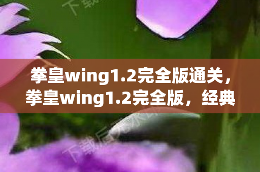 拳皇wing1.2完全版通关,拳皇wing1.2完全版,经典格斗游戏的全新升级 拳皇wing1.2完全版通关,拳皇wing1.2完全版,经典格斗游戏的全新升级