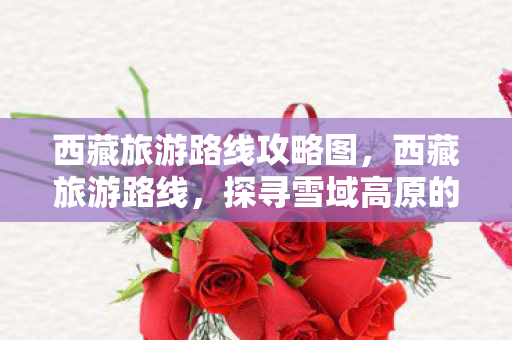 西藏旅游路线攻略图,西藏旅游路线,探寻雪域高原的神秘之旅 西藏旅游路线攻略图,西藏旅游路线,探寻雪域高原的神秘之旅