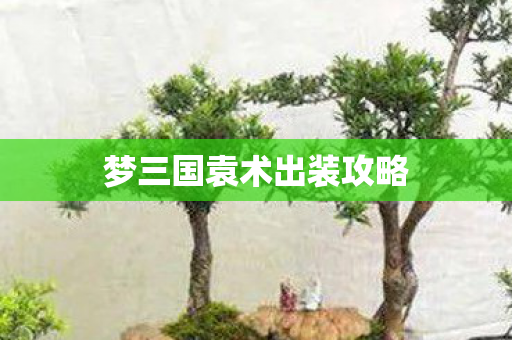 梦三国袁术出装攻略 梦三国袁术出装攻略