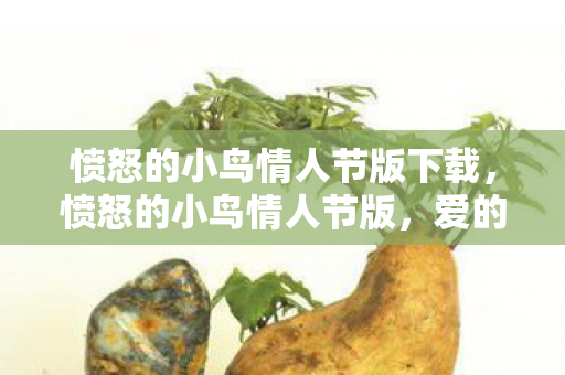 愤怒的小鸟情人节版下载，愤怒的小鸟情人节版，爱的传递与游戏新体验