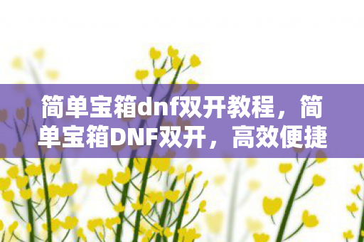 简单宝箱dnf双开教程,简单宝箱DNF双开,高效便捷的游戏体验 简单宝箱dnf双开教程,简单宝箱DNF双开,高效便捷的游戏体验