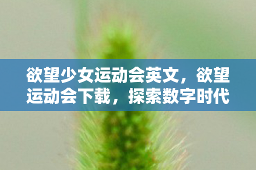 探索数字时代的娱乐新边疆图片