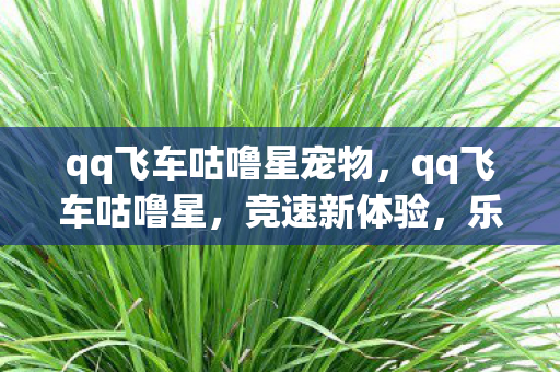 qq飞车咕噜星宠物图片