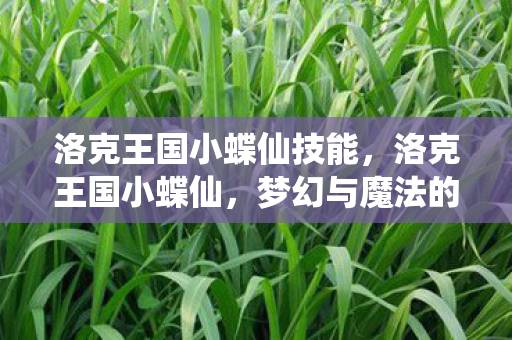 洛克王国小蝶仙技能,洛克王国小蝶仙,梦幻与魔法的交织 洛克王国小蝶仙技能,洛克王国小蝶仙,梦幻与魔法的交织