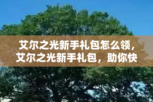艾尔之光新手礼包怎么领,艾尔之光新手礼包,助你快速启程的梦幻之旅 艾尔之光新手礼包怎么领,艾尔之光新手礼包,助你快速启程的梦幻之旅