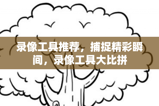 录像工具推荐,捕捉精彩瞬间,录像工具大比拼 录像工具推荐,捕捉精彩瞬间,录像工具大比拼