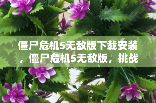 僵尸危机5无敌版下载安装,僵尸危机5无敌版,挑战与冒险的终极体验 僵尸危机5无敌版下载安装,僵尸危机5无敌版,挑战与冒险的终极体验