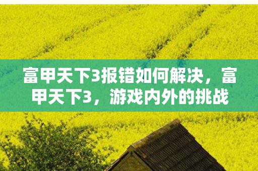 富甲天下3报错如何解决,富甲天下3,游戏内外的挑战与解决方案 富甲天下3报错如何解决,富甲天下3,游戏内外的挑战与解决方案