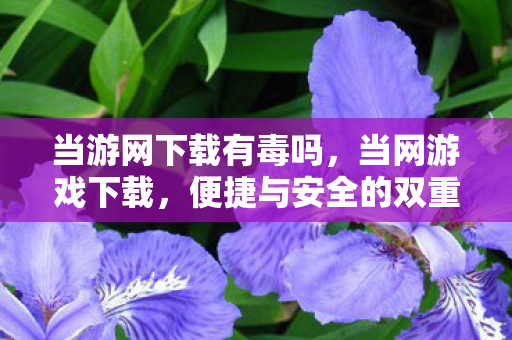 当游网下载有毒吗，当网游戏下载，便捷与安全的双重保障