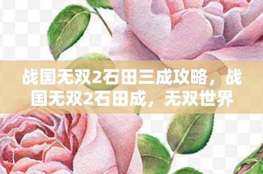 战国无双2石田三成攻略,战国无双2石田成,无双世界的英雄传奇 战国无双2石田三成攻略,战国无双2石田成,无双世界的英雄传奇