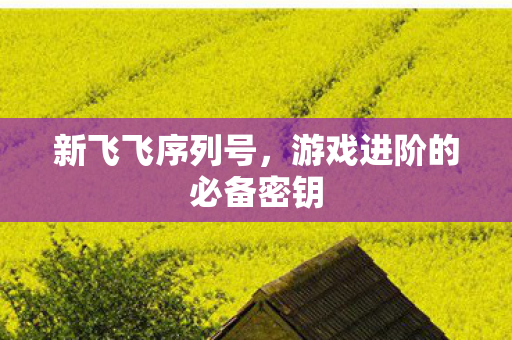 新飞飞序列号,游戏进阶的必备密钥 新飞飞序列号,游戏进阶的必备密钥