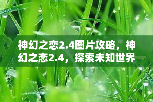 神幻之恋2.4图片攻略，神幻之恋2.4，探索未知世界的奇幻旅程