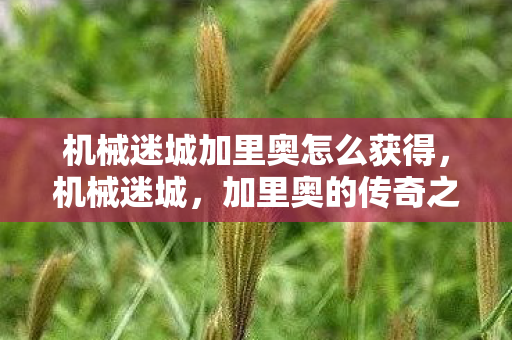 机械迷城加里奥怎么获得,机械迷城,加里奥的传奇之旅 机械迷城加里奥怎么获得,机械迷城,加里奥的传奇之旅