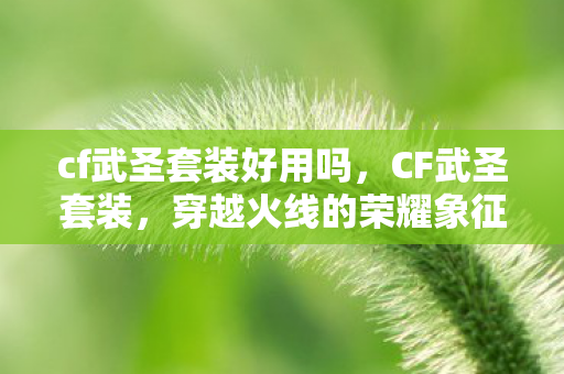 cf武圣套装好用吗图片
