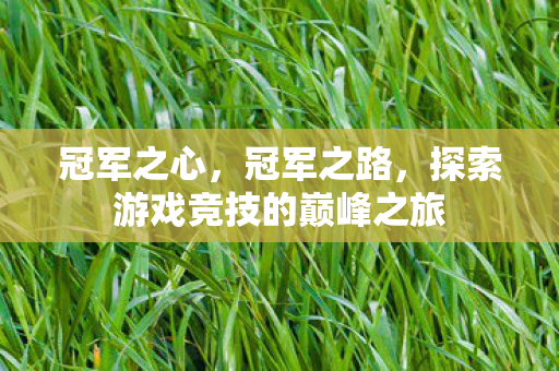 冠军之心，冠军之路，探索游戏竞技的巅峰之旅