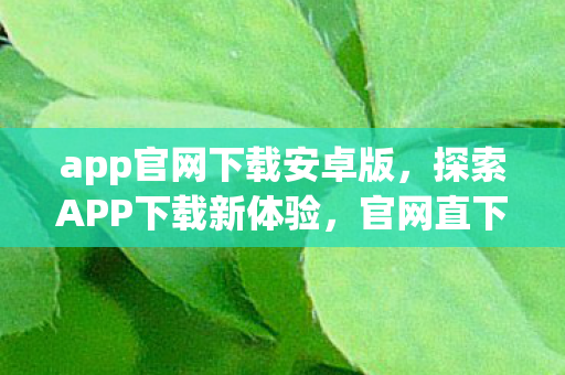 app官网下载安卓版,探索APP下载新体验,官网直下的便捷与安全 app官网下载安卓版,探索APP下载新体验,官网直下的便捷与安全
