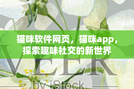 猫咪软件网页,猫咪app,探索趣味社交的新世界 猫咪软件网页,猫咪app,探索趣味社交的新世界