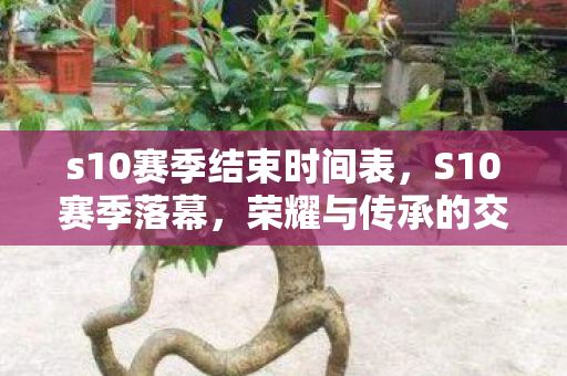 s10赛季结束时间表，S10赛季落幕，荣耀与传承的交响曲