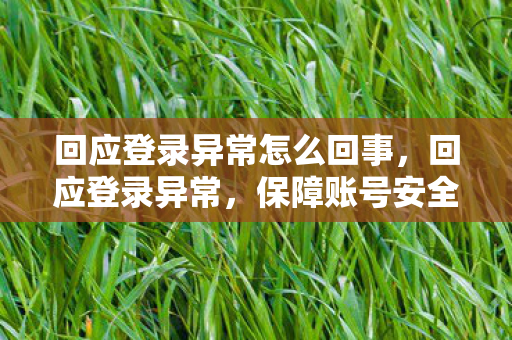 回应登录异常怎么回事图片