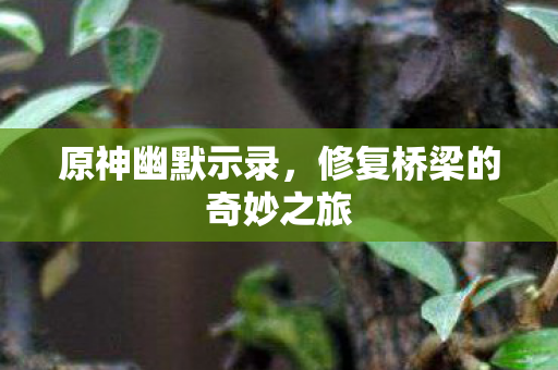 原神幽默示录,修复桥梁的奇妙之旅 原神幽默示录,修复桥梁的奇妙之旅