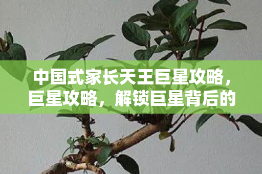 中国式家长天王巨星攻略图片