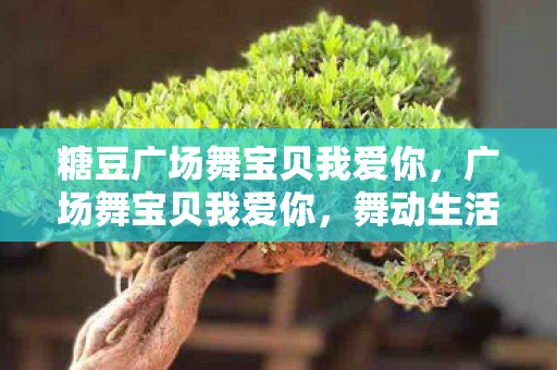 糖豆广场舞宝贝我爱你,广场舞宝贝我爱你,舞动生活的旋律,传递爱的力量 糖豆广场舞宝贝我爱你,广场舞宝贝我爱你,舞动生活的旋律,传递爱的力量